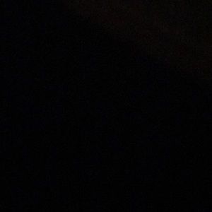 Meet your Posher, Ronnie